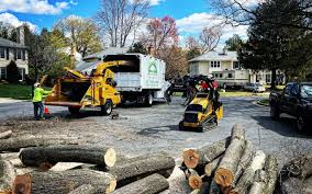 Best Storm Damage Tree Cleanup  in Lake Fenton, MI